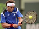 Masters 1000 de Miami 2013: David Ferrer clasifica a octavos de final
