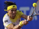 Masters 1000 de Miami 2013: David Ferrer único español en cuartos de final
