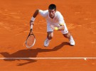 Masters 1000 de Montecarlo 2013: Djokovic sufre para vencer a Youzhny, Almagro eliminado