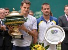 ATP Halle 2013: Federer campeón; ATP Queen’s 2013: Murray campeón