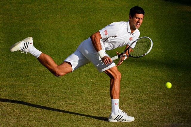 djokovic