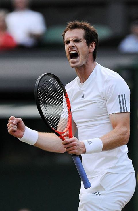 Wimbledon 2013: Murray vence a Janowicz y regresa a la final