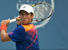 ATP Winston-Salem 2013: Fernando Verdasco avanza a cuartos de final