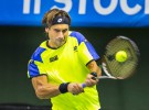 ATP Estocolmo: David Ferrer y Grigor Dimitrov jugarán la final
