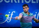 ATP Estocolmo: Grigor Dimitrov conquista el título ante David Ferrer