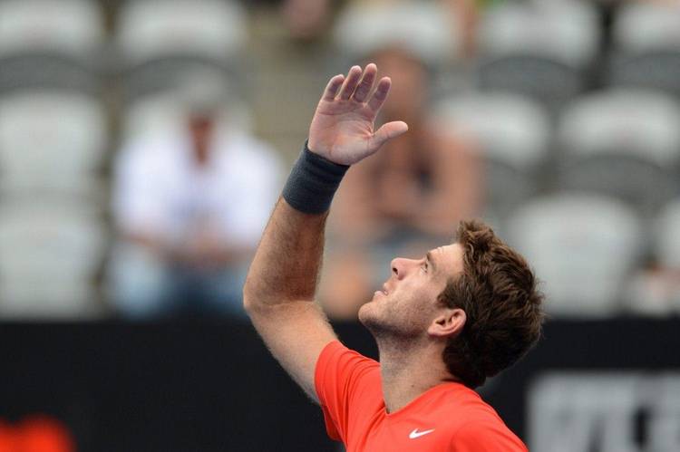 ATP Sydney 2014: Del Potro y Tomic finalistas