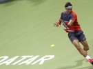 ATP Doha 2014: Nadal a cuartos de final, Ferrer, Murray y Verdasco eliminados