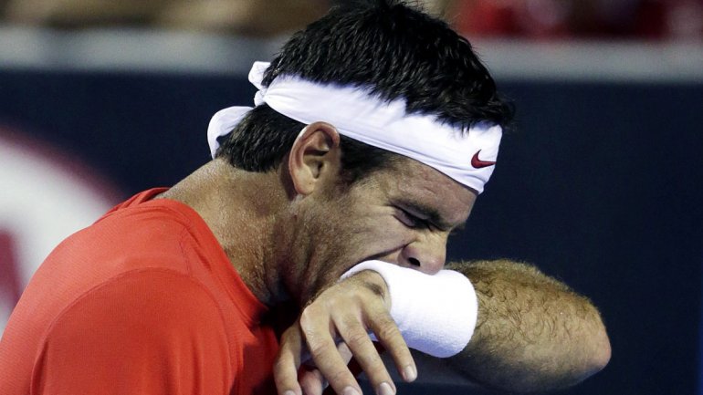 ATP Rotterdam 2014: Berdych a semifinales, Del Potro y Murray eliminados