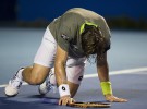 ATP Acapulco 2014: David Ferrer abandona, Murray a semifinales