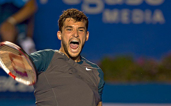 ATP Acapulco 2014: Dimitrov y Anderson finalistas