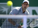 Masters de Indian Wells 2014: Djokovic y Federer finalistas de lujo
