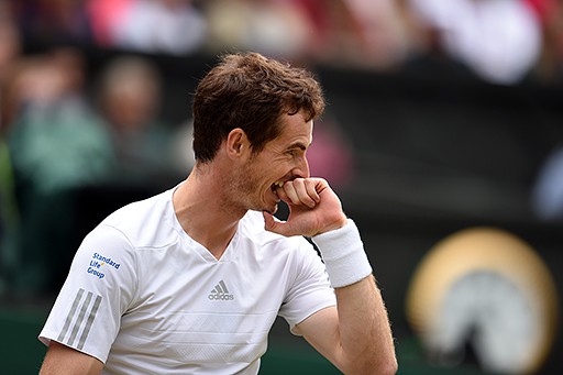 Wimbledon 2014: Murray, Djokovic y Dimitrov a cuartos, Feliciano López a octavos