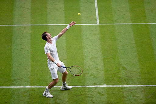 Wimbledon 2014: Murray, Dimitrov y Bautista Agut a 3ra ronda, Gulbis eliminado