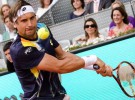 ATP Bastad 2014: Ferrer, Verdasco y Carreño-Busta a 4tos