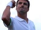ATP Hamburgo 2014: Ferrer y Robredo a octavos de final