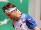 ATP Hamburgo 2014: Ferrer, Andújar y Mayer a cuartos de final