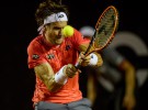 ATP Rio de Janeiro 2015: Ferrer a cuartos de final, cae Robredo