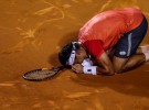 ATP Rio de Janeiro 2015: David Ferrer y Sara Errani campeones