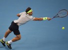 ATP Viena 2015: Ferrer a la final ante Johnson; ATP Moscú 2015: Roberto Bautista ante Cilic por el título