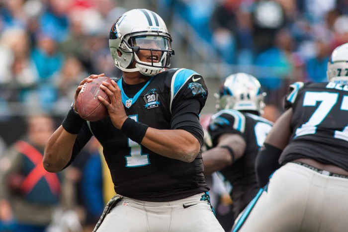 NFL: Atlanta Falcons at Carolina Panthers