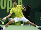 ATP Doha 2016: Djokovic avanza, López eliminado; ATP Chennai 2016: caen Almagro y Granollers