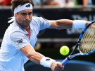 ATP Auckland 2016: Ferrer y Bautista Agut a semifinales