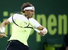 ATP Doha 2016: Rafa Nadal y Djokovic a semifinales; ATP Chennai 2016: Paire a cuartos