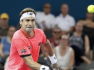 Brisbane 2017: Ferrer eliminado, Wawrinka, Nishikori y Kerber a cuartos de final