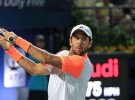ATP Budapest 2017: Fernando Verdasco único español en nuevo torneo