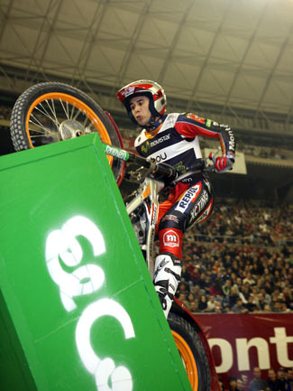 tonibou