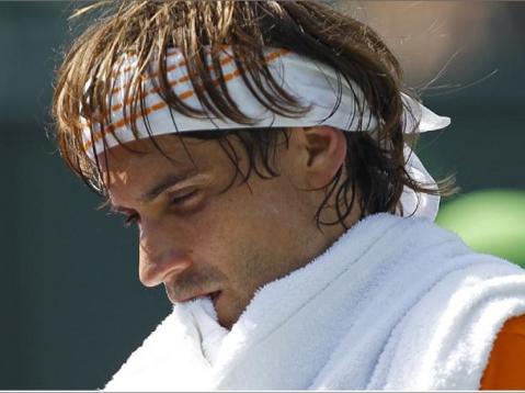 david-ferrer.jpg
