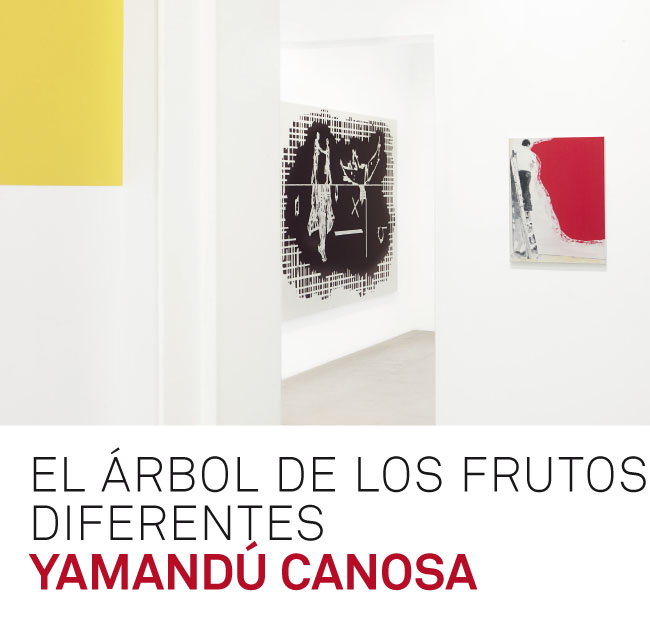 La exposición de Yamandú Canosa a punto de terminar