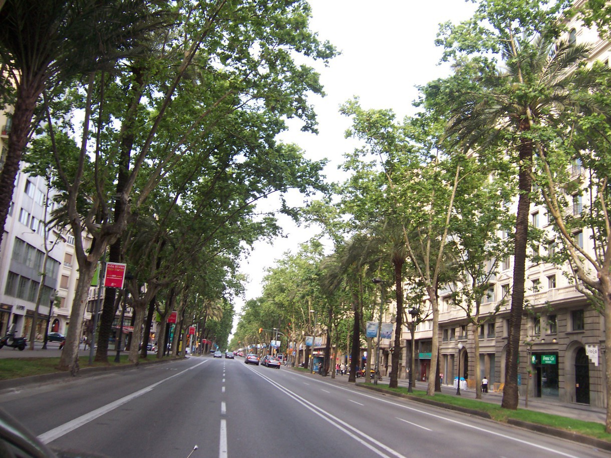 Domingos en la Diagonal y Paseo de Gràcia