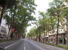 Domingos en la Diagonal y Paseo de Gràcia
