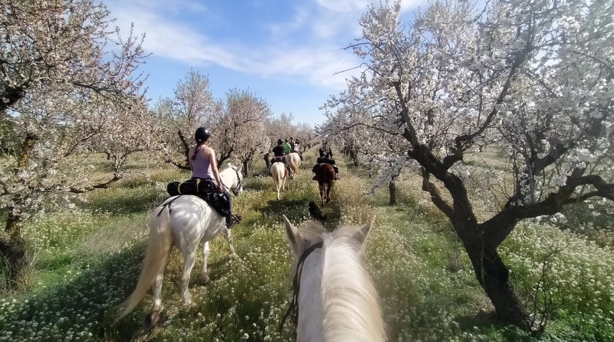 Rutas a caballo cerca de Barcelona: una escapada sencilla para reconectar con la naturaleza
