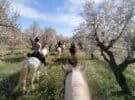 Rutas a caballo cerca de Barcelona: una escapada sencilla para reconectar con la naturaleza