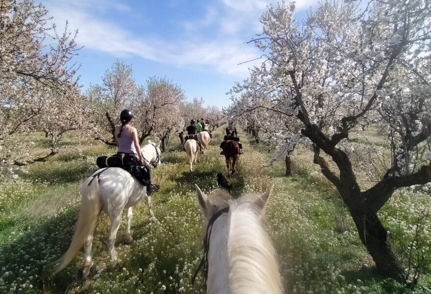 Rutas a caballo cerca de Barcelona: una escapada sencilla para reconectar con la naturaleza