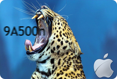 Actualiza tu Leopard 9A499