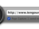 Widget para capturar páginas web