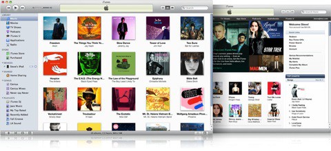 Opiniones: ¿Quién le puede poner bronceador a iTunes 9?