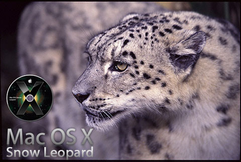 Snow Leopard, algunos detalles