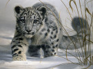 El desarrollo de Snow Leopard 10.6.5 va viento en popa