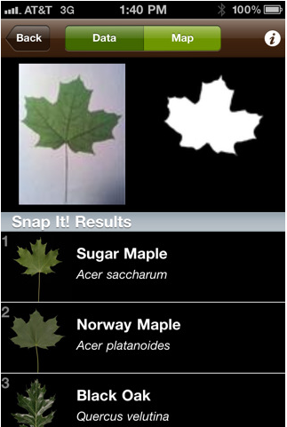 Identifica las hojas de los árboles gracias a la cámara del iPhone