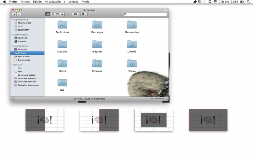 window-tidy