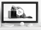 Un vistazo a lo que veremos en la MacWorld 2014: cuida a tus mascotas a distancia, un anillo de control de movimiento y mucho más