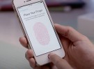 Apple está más preocupada en defender la privacidad de sus clientes que sus propios clientes