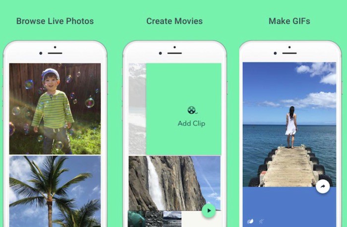 Google transforma tus Live Photos en GIFs e incluso te permite crear películas