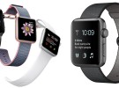 La producción de la pantalla táctil del Apple Watch Series 3 empezará ya a finales de año