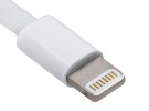 No, Apple no va a sustituir el conector Lightning del iPhone por USB-C