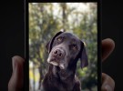 Apple lanza 2 nuevos spots publicitarios explicando en qué consiste el modo retrato del iPhone 7 Plus